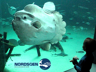 Nords Oceanarium