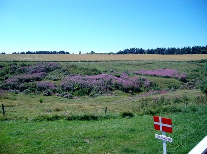Sommerhus 1023