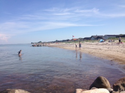 Sommerhus 10755