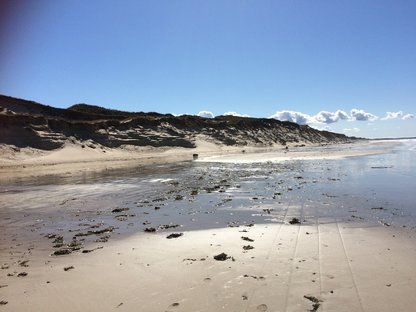 Sommerhus 13161