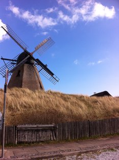 Sommerhus 13161