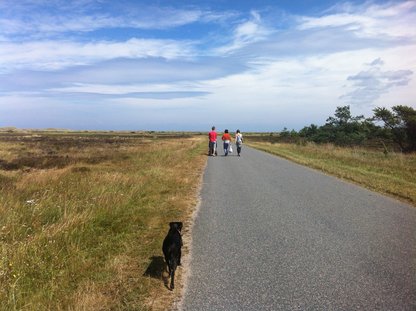 Sommerhus 3879