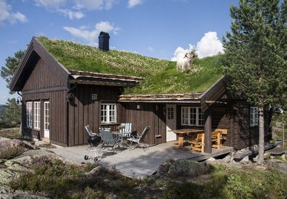 Sommerhus 5915