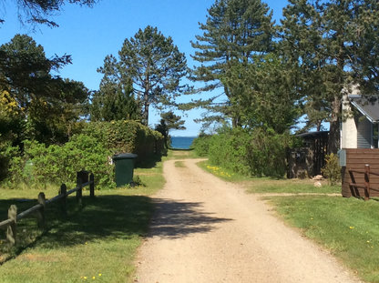 Sommerhus 6442