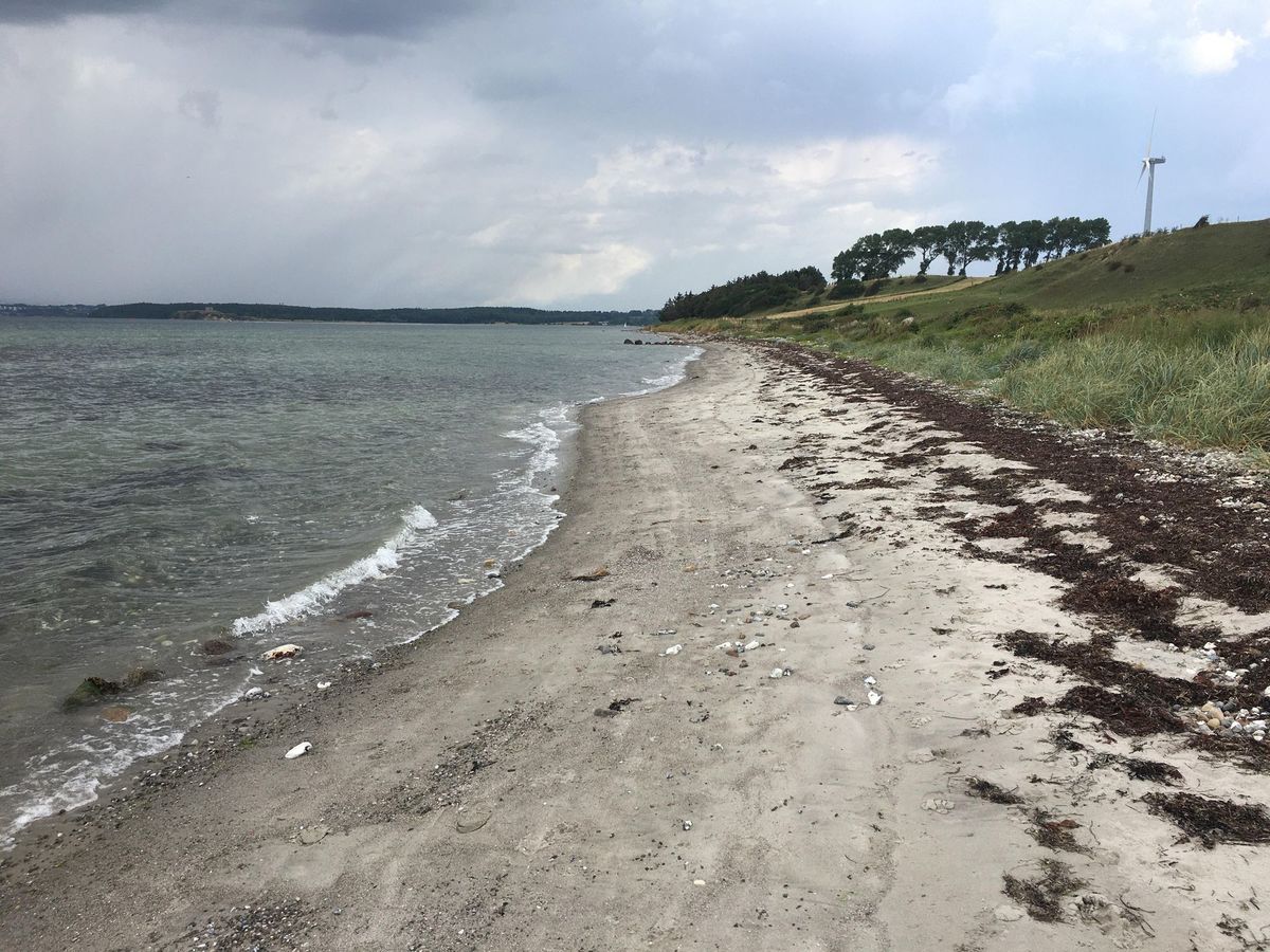 Sommerhus 8128