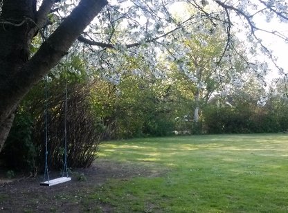 Sommerhus 8784