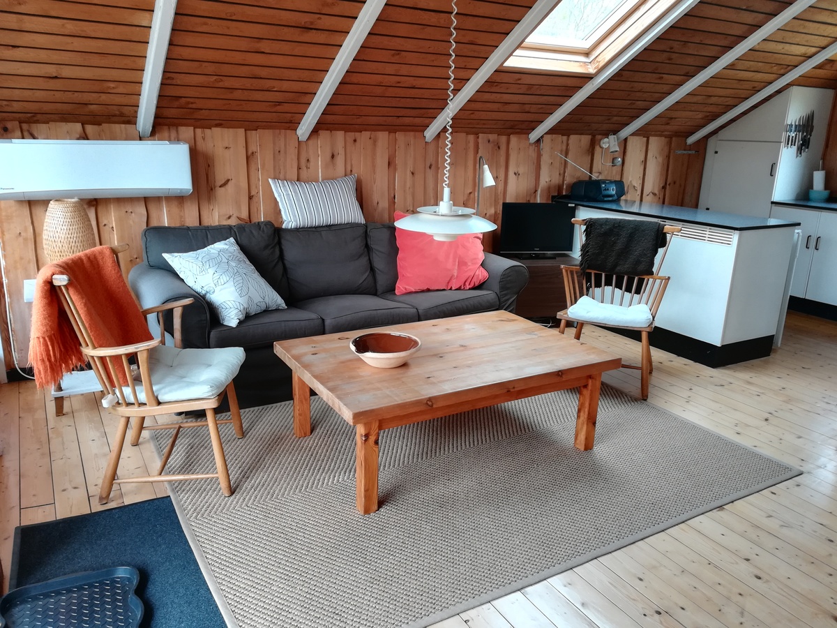 Sommerhus 8784