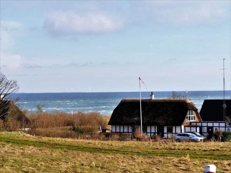 Havet set fra terrassen