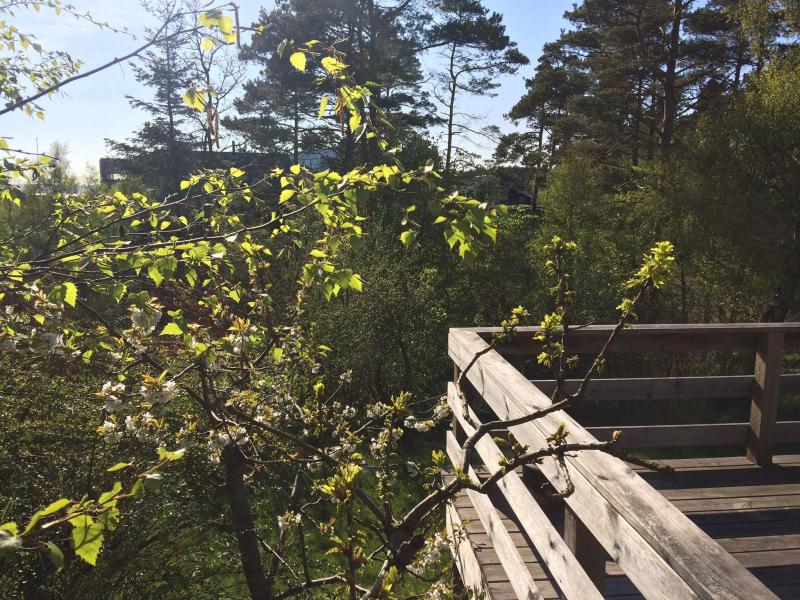 Skn, ugeneret naturgrund