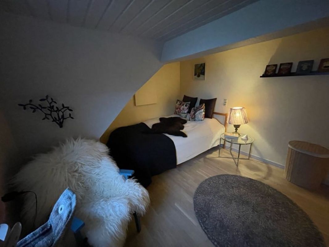 Sovev�relse 3 - 1. sal TV