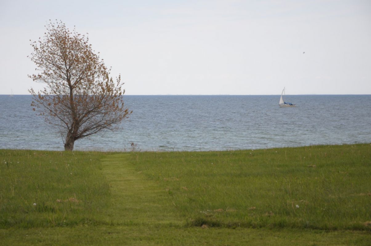 Fllesarealet mellem haven og stranden.