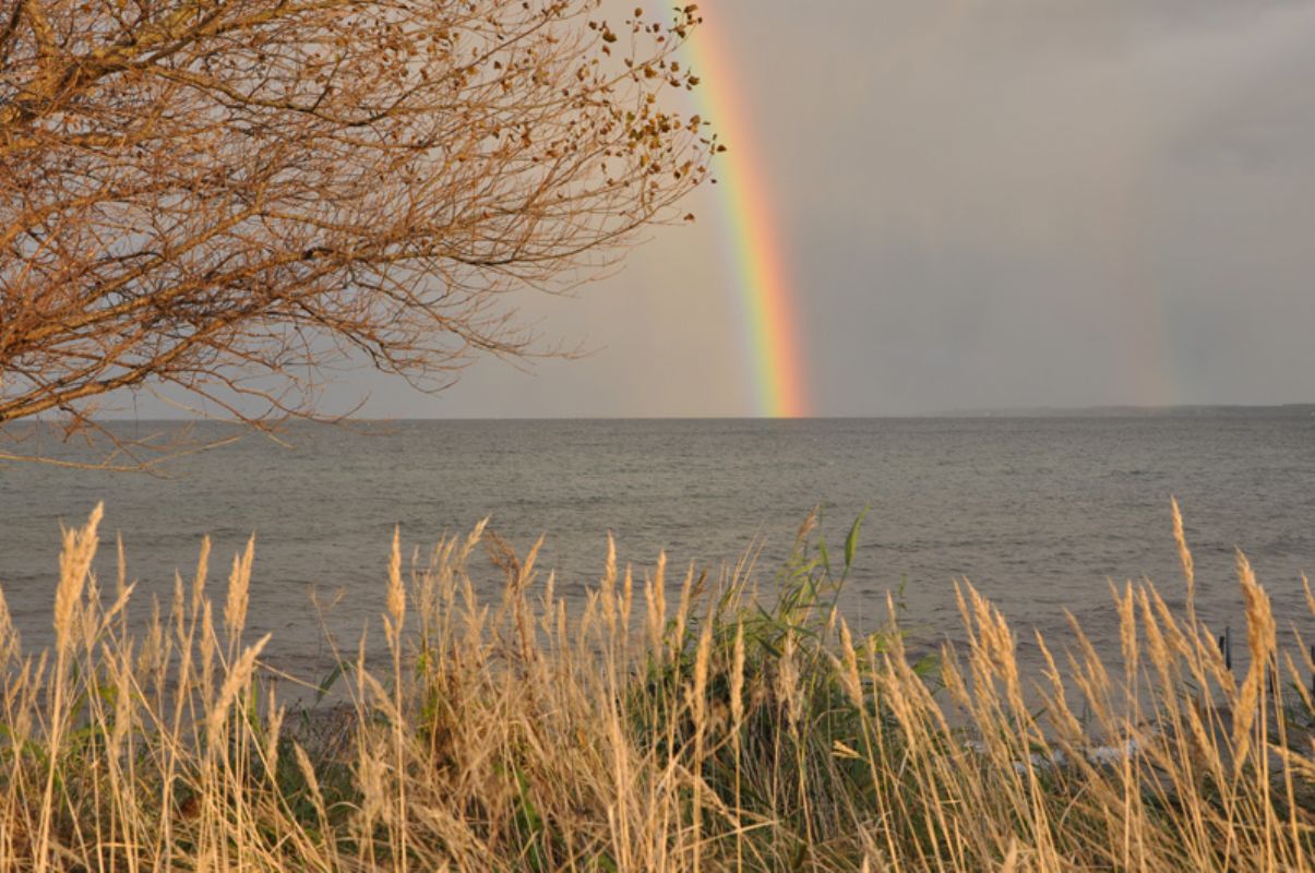 Stemningsbillede ved stranden