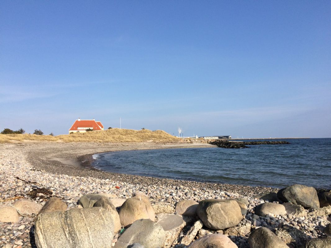 Kongeboligen ved Kattegat