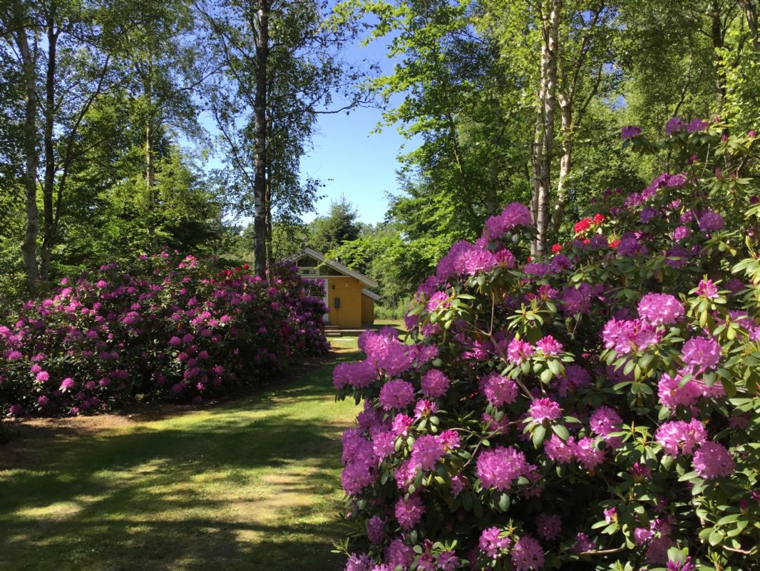 Huset set fra vejen maj 2024