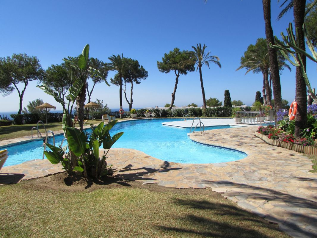 Pool omrdet 