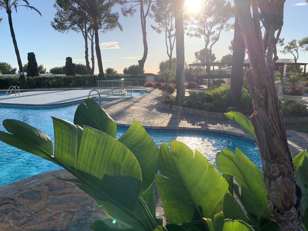 Pool omrdet