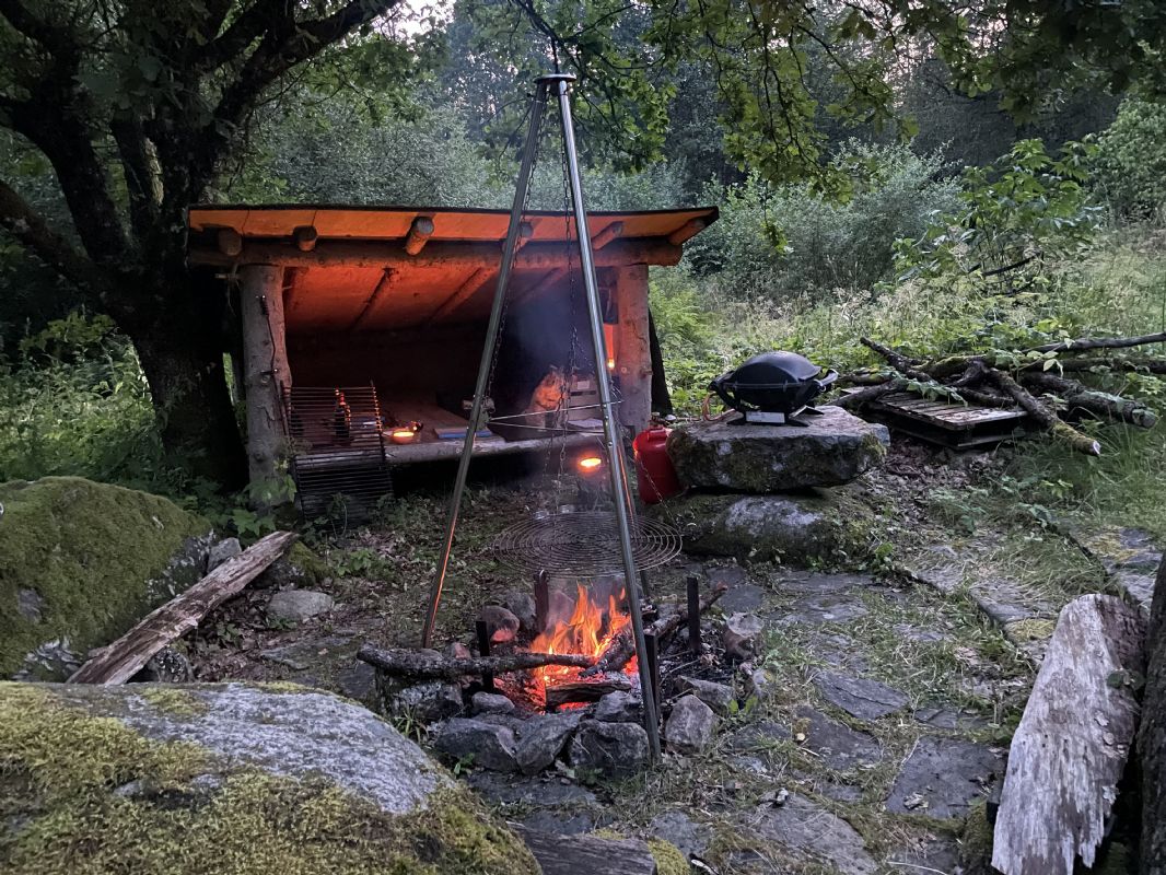 Shelter og blplads
