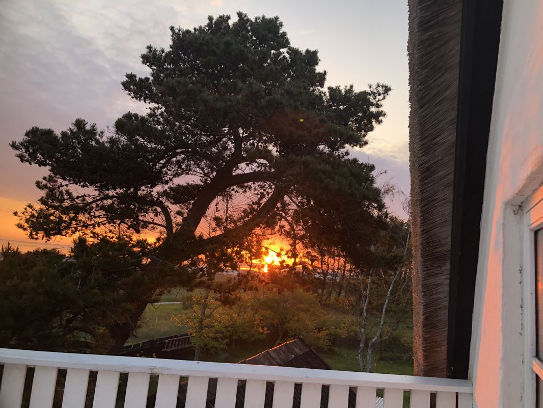 Morgensol fra balkon