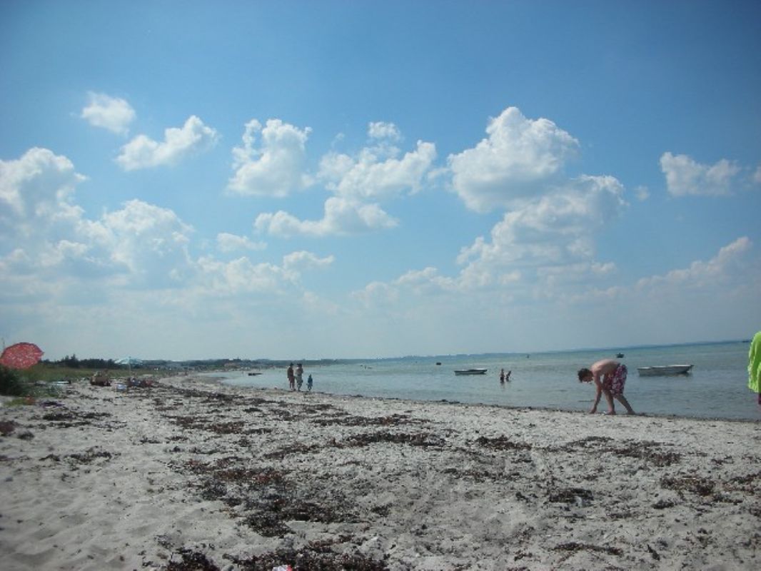 Stranden i Fjellerup 3