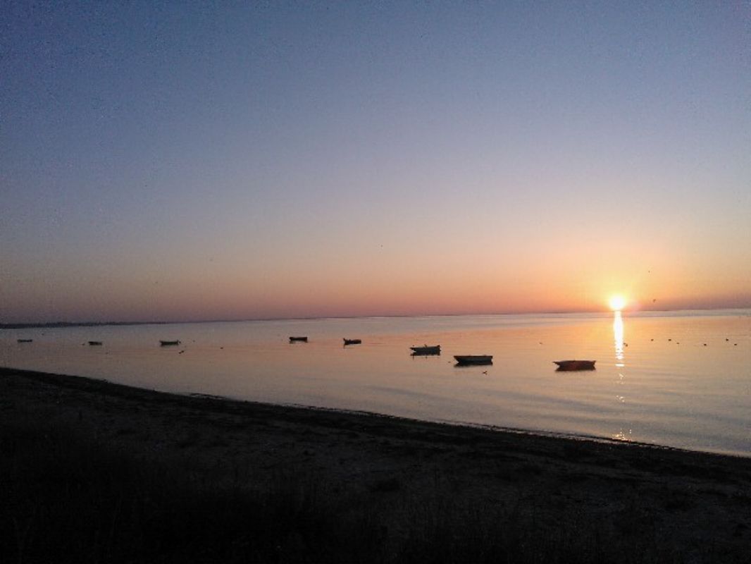 solen gr ned ved Fjellerup strand - kun 300m fra huset -)