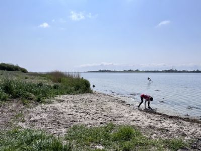 Privat strand p sknne Als, 8-10 personer, ledigt
uge 28, 30, 31 (fre-fre)