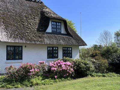 Privat strand p sknne Als, 8-10 personer, ledigt
20.-30. juli.
