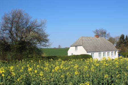 Hyggeligt feriehus en lille oase midt i den fynske natur.