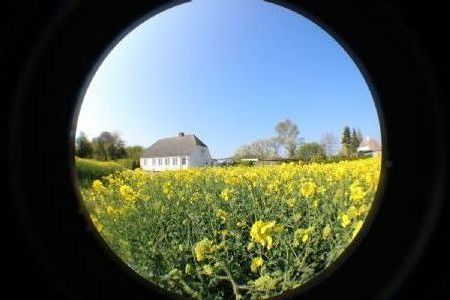 Gemtliches Ferienhaus eine kleine Oase mitten in der Landschaft Fnen.