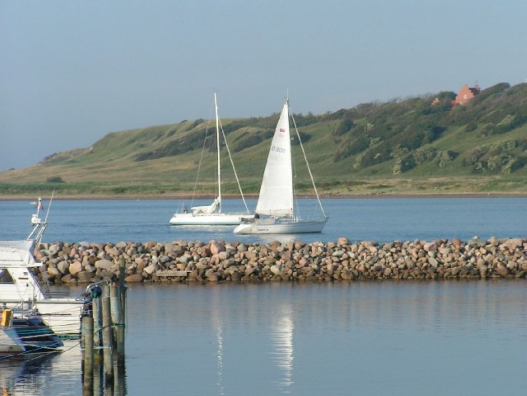 Sejlskibe p fjorden