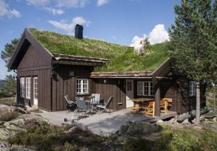 Spacious log cabin in antique style for rent on Blefjell. High standard.