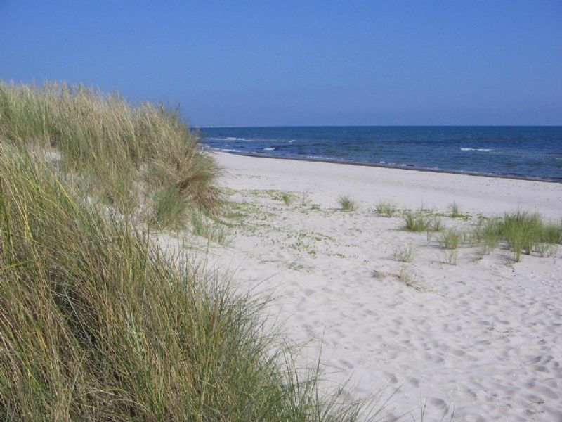 Stranden som ligger i g afstand fra huset•