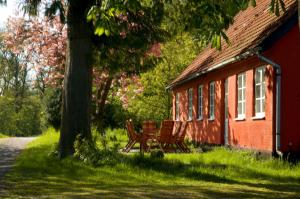 Skovlberhus i Almindingen ved Aakirkeby p Bornholm - fantastisk sommerhus midt p solskinsen