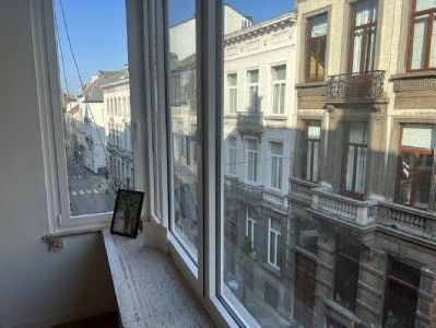 Newly renovated Ixelles Apartment 