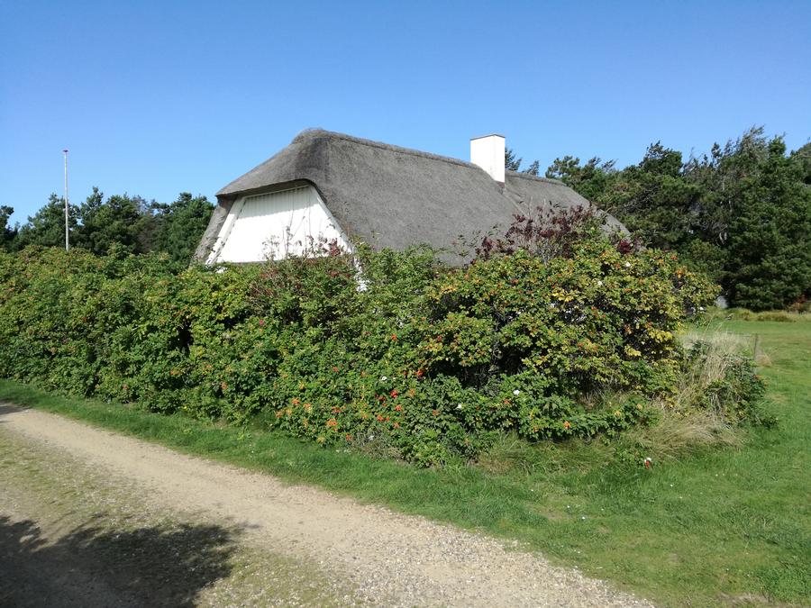 Veders - Vesterhavet (500 m), 112 m2 stort nytkket strtkt muret hus for 6 personer. Rolig beliggenhed p 2200 m2 stor grund, med l og stor grsplne foran huset. Mulighed for mange aktiviteter p grunden.