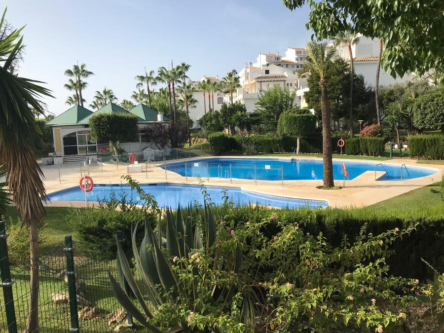 Pool med cafe