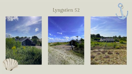 Dejligt, nyrenoveret sommerhus for 6 personer i �lb�k syd for Skagen