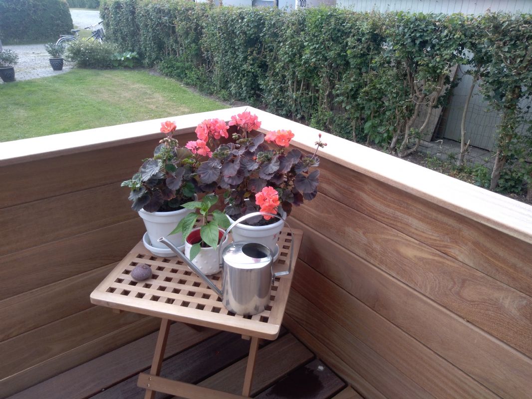 Morgen terrasse ved stuen