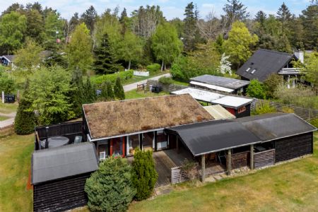 Nyd roen i mormors sommerhus.