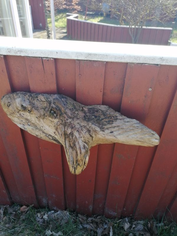 fundet p� stranden