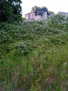 Sommerhus p� kegn�s, Sydals.
100 meter til vandet.