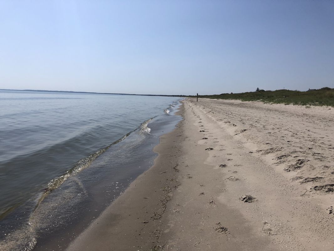 Stranden mod Frederikshavn