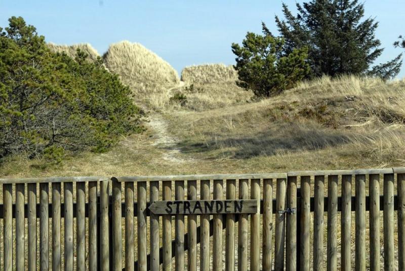 Sti til havet/100m