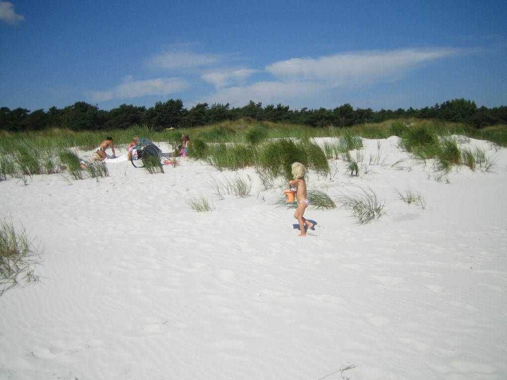 strand Dueodde Strand